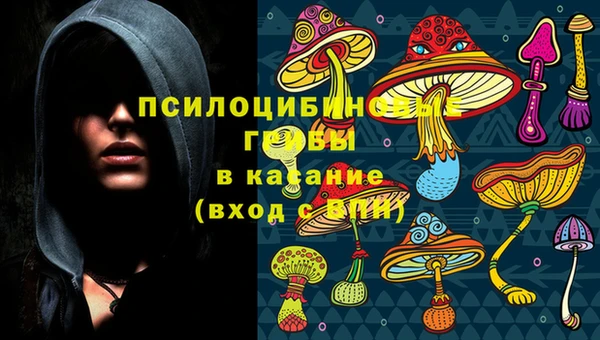 mix Богородицк